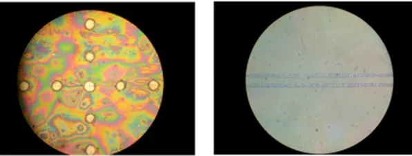 news-596-226 news-596-226